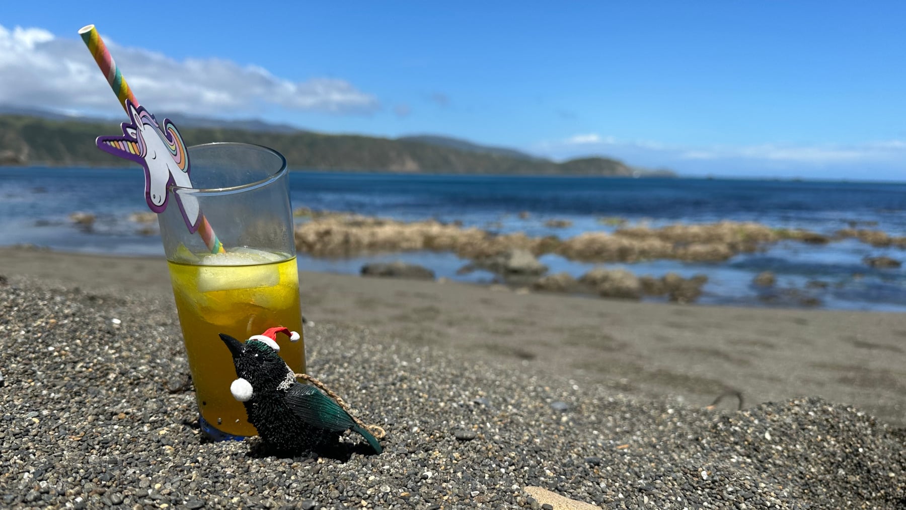 NZ Summer Party